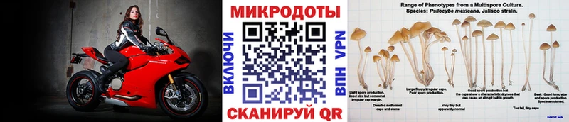 ссылка на мегу ССЫЛКА  Шарыпово  Псилоцибиновые грибы прущие грибы 